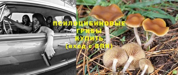 мескалин Алзамай